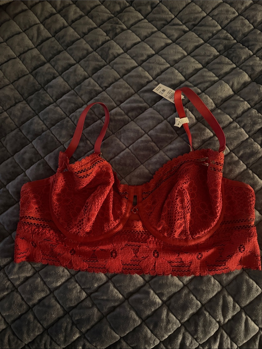 Aerie Burnt Red Lace Longline Underwire Bra 38DD